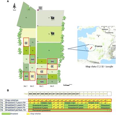 Phosphorus Stock Depletion and Soil C:N:P Stoichiometry Under Annual Crop Rotations and Grassland Management Systems Over 13 Years